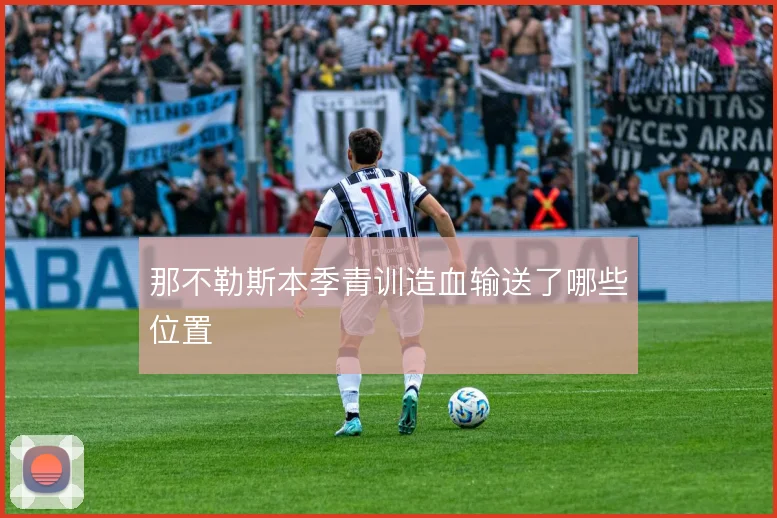 那不勒斯本季青训造血输送了哪些位置