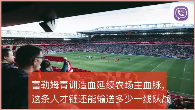 富勒姆青训造血延续农场主血脉,这条人才链还能输送多少一线队战力