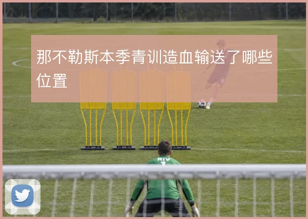 那不勒斯本季青训造血输送了哪些位置